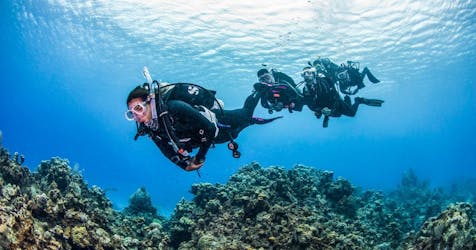 Full day scuba diving for beginners with BBQ lunch in Fujairah